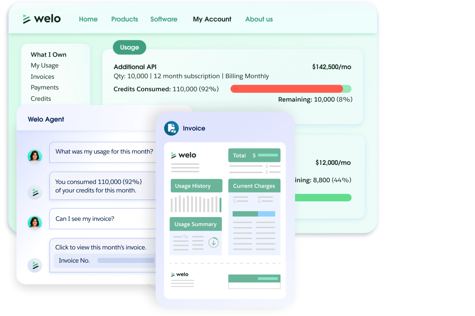 How Salesforce Revenue Cloud Advanced Powers Modern Usage-Based Pricing—And Where Continuous Makes It Even Stronger